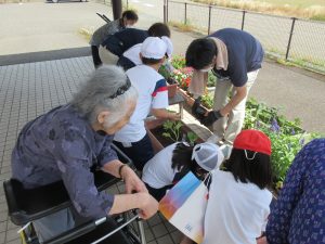 IMG_7883.JPG(2)
