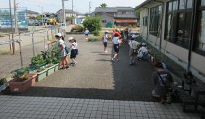 IMG_8062.JPG(2)