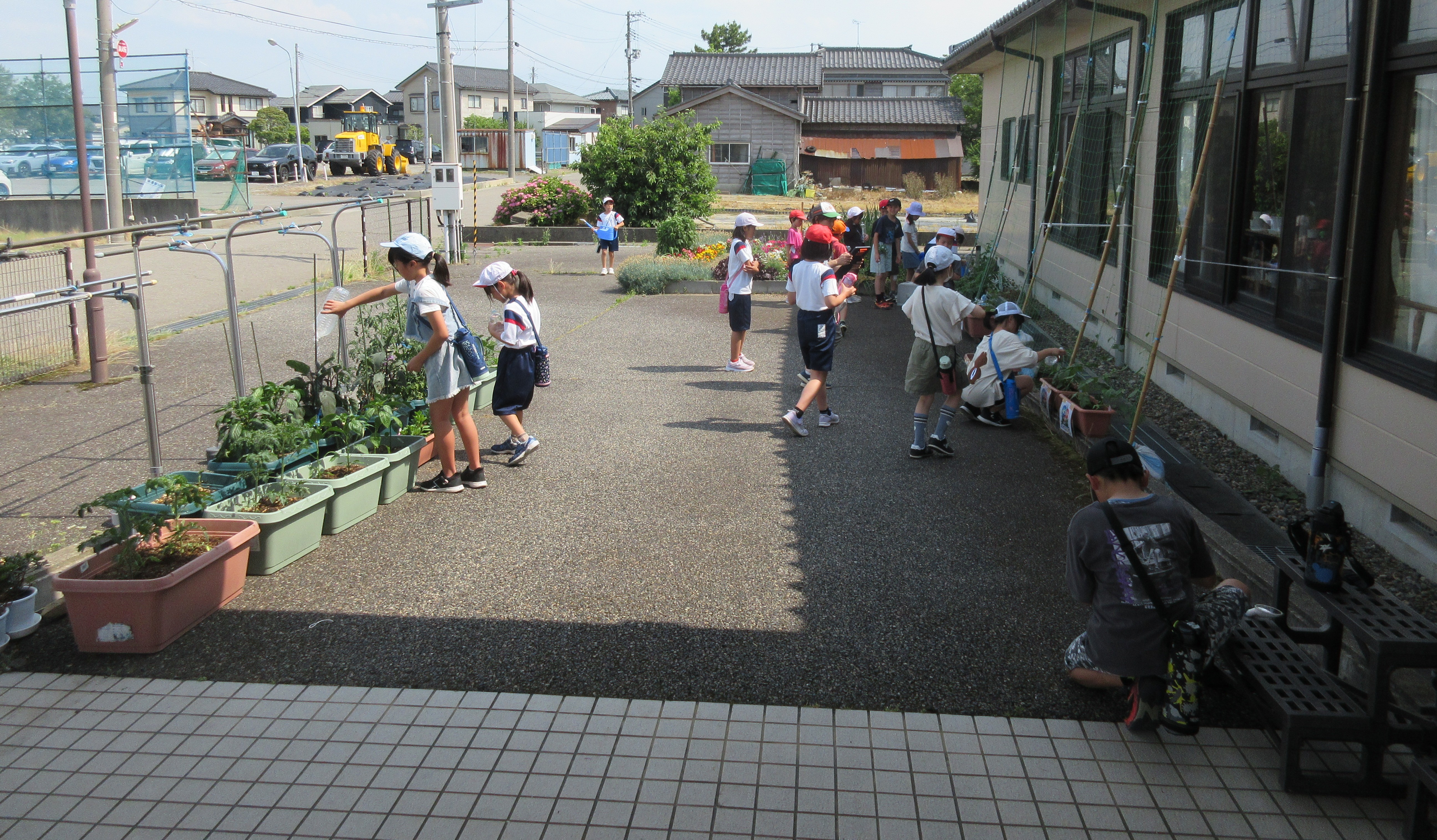 IMG_8062.JPG(2)