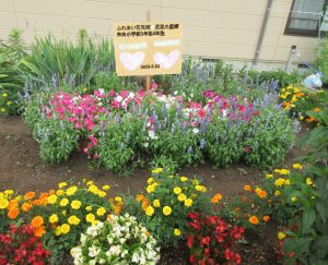 IMG_8289.JPG(2)