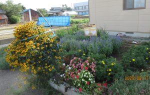 IMG_8493.JPG(2)