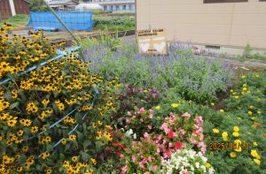 IMG_8629.JPG(2)