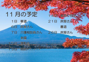 11月予定