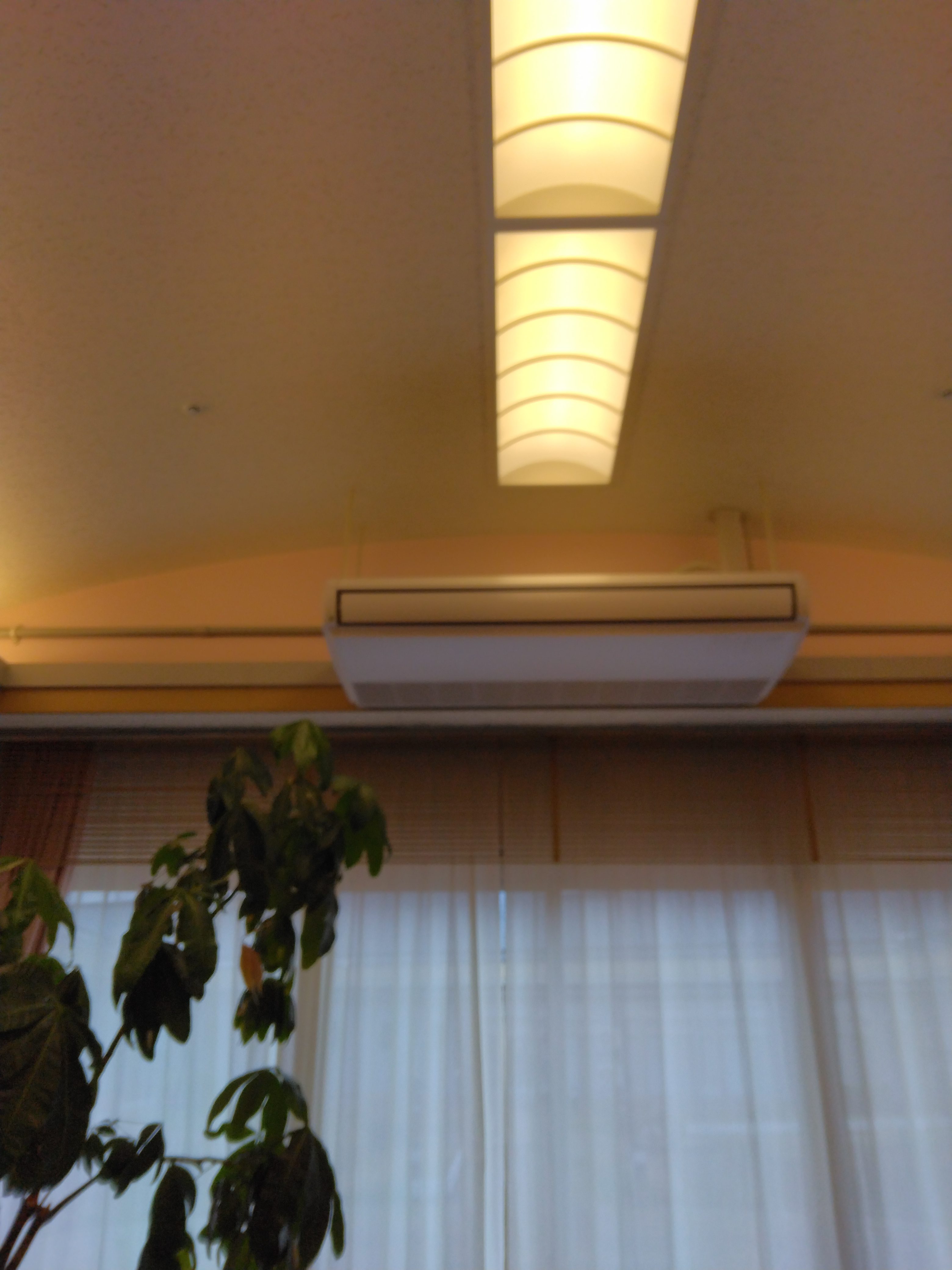 IMG_20221108_134156